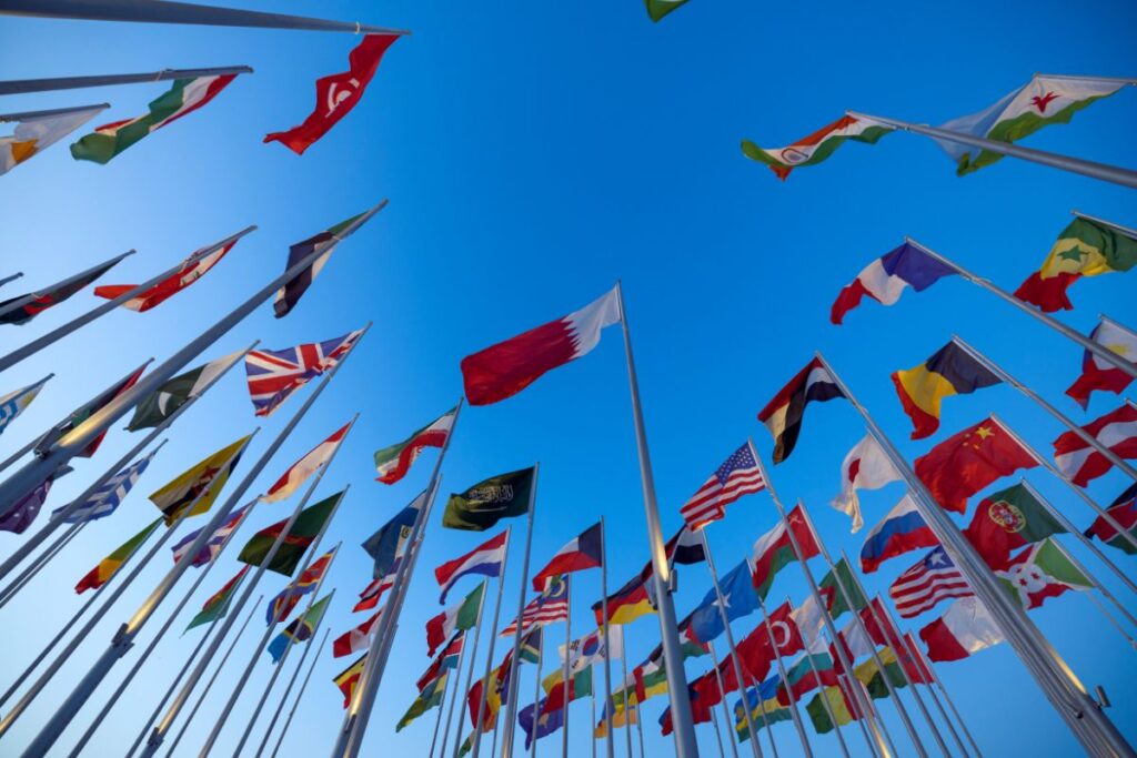Global Business Highlights