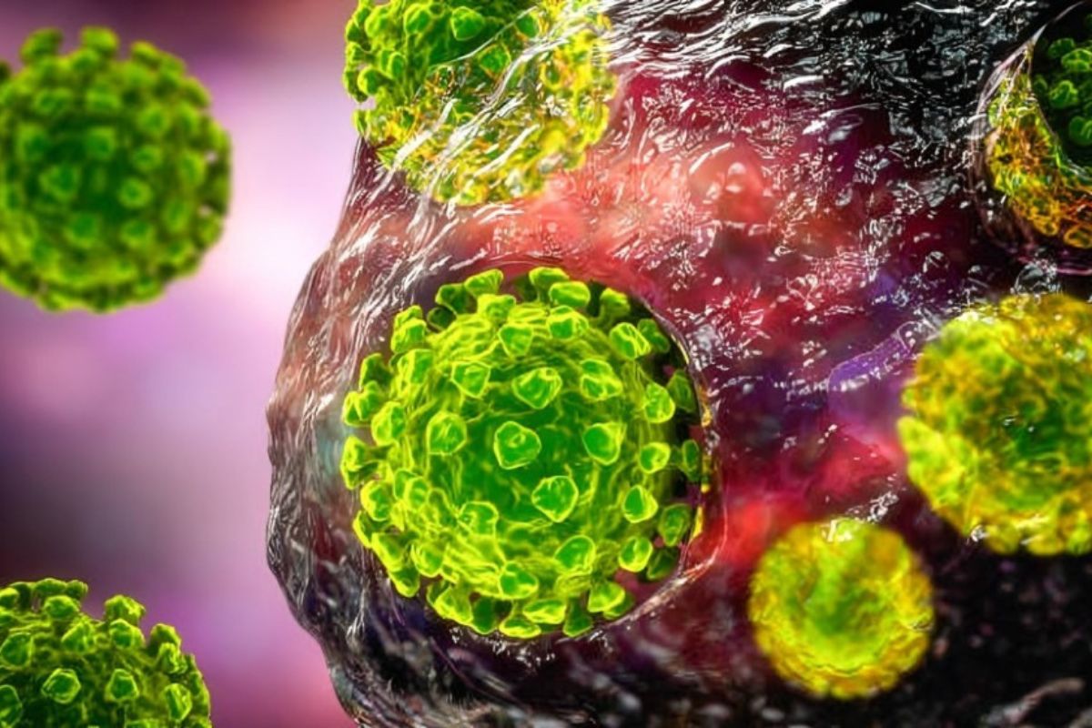 Human Metapneumovirus (hMPV) How Dangerous Is It and Who’s Most at Risk